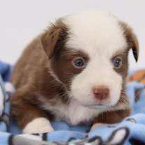 Thumbnail photo of Naan #2