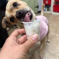 Thumbnail photo of Edward #2