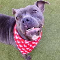 Thumbnail photo of Mia #3