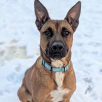 Thumbnail photo of Pluto #2