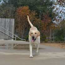 Thumbnail photo of Buddy #2