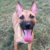 Thumbnail photo of Melvin #3