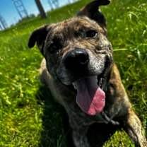 Thumbnail photo of Lucy May Barker #1