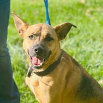 Thumbnail photo of Hunter #2