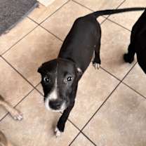 Thumbnail photo of Tornado #1