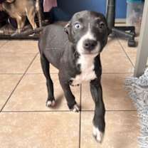 Thumbnail photo of Tornado #2