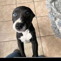 Thumbnail photo of Tornado #3