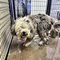 Thumbnail photo of 59991717 #1