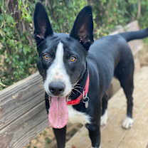 Thumbnail photo of Ileane #1