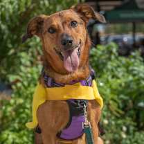 Thumbnail photo of Marceline #1