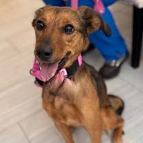 Thumbnail photo of Marceline #2