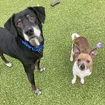 Thumbnail photo of Nadine #2