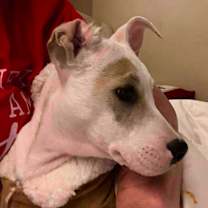 Thumbnail photo of Jackie  #3