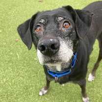 Thumbnail photo of Nadine #3