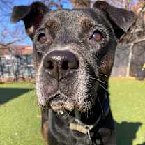 Thumbnail photo of Terra #3