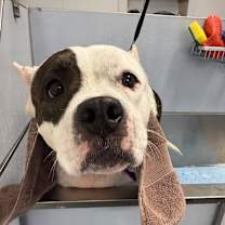 Thumbnail photo of Matilda #2