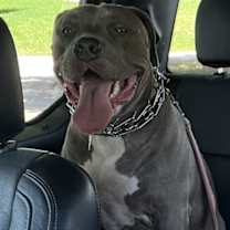 Thumbnail photo of Xena #1