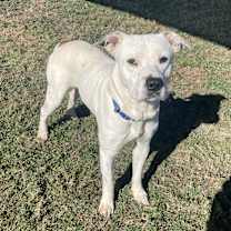 Thumbnail photo of Fry #3