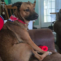 Thumbnail photo of Hudson #2