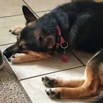 Thumbnail photo of Leyla #3