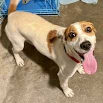 Thumbnail photo of Ashley #3