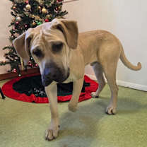 Thumbnail photo of Steve #2