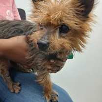 Thumbnail photo of 59994611 #1