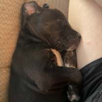 Thumbnail photo of Bandit #2