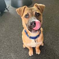 Thumbnail photo of Zephyr #2