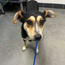 Thumbnail photo of Sally #2