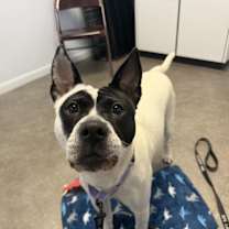 Thumbnail photo of Abigail #3