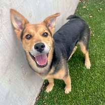 Thumbnail photo of Wish #1