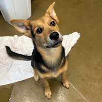 Thumbnail photo of Wish #3