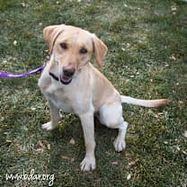 Thumbnail photo of Kuma #1