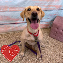 Thumbnail photo of Kuma #2