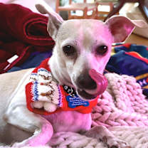 Thumbnail photo of Stew 13624 #4