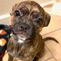 Thumbnail photo of Latte #4