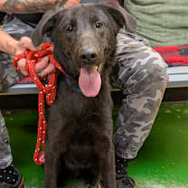 Thumbnail photo of Dayton #1