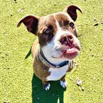 Thumbnail photo of Jackie #3