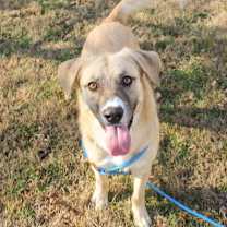 Thumbnail photo of Peacemaker #1