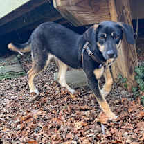 Thumbnail photo of Shirley #2