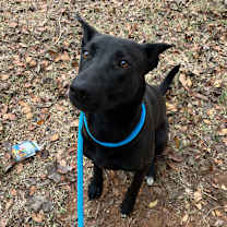 Thumbnail photo of Peach #3