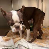 Thumbnail photo of Taco #1