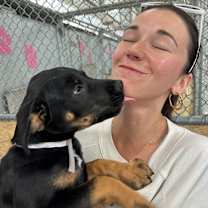 Thumbnail photo of Griffin #4