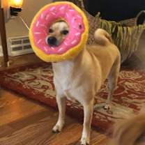 Thumbnail photo of Mayzi #3