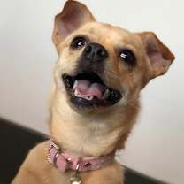 Thumbnail photo of Mayzi #4