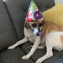 Thumbnail photo of Penny #2