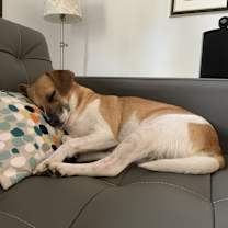 Thumbnail photo of Penny #4