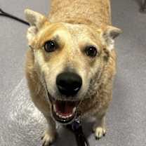 Thumbnail photo of Sally #3