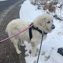 Thumbnail photo of Luna #3